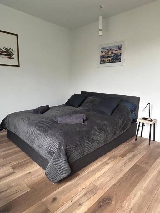 Apartament Stary Szczecin Kültér fotó