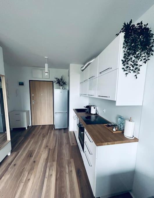 Apartament Stary Szczecin Kültér fotó
