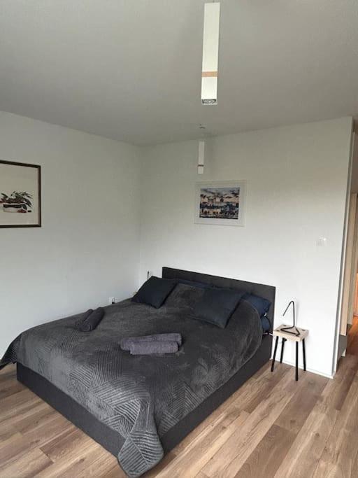 Apartament Stary Szczecin Kültér fotó