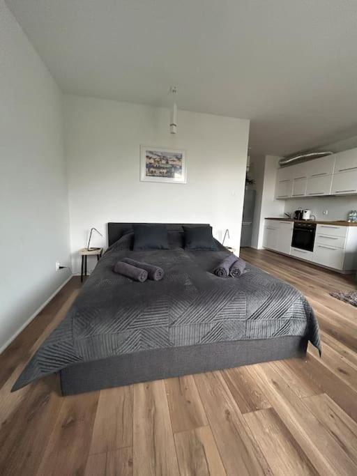 Apartament Stary Szczecin Kültér fotó