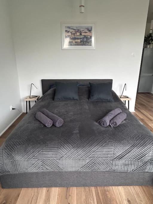 Apartament Stary Szczecin Kültér fotó