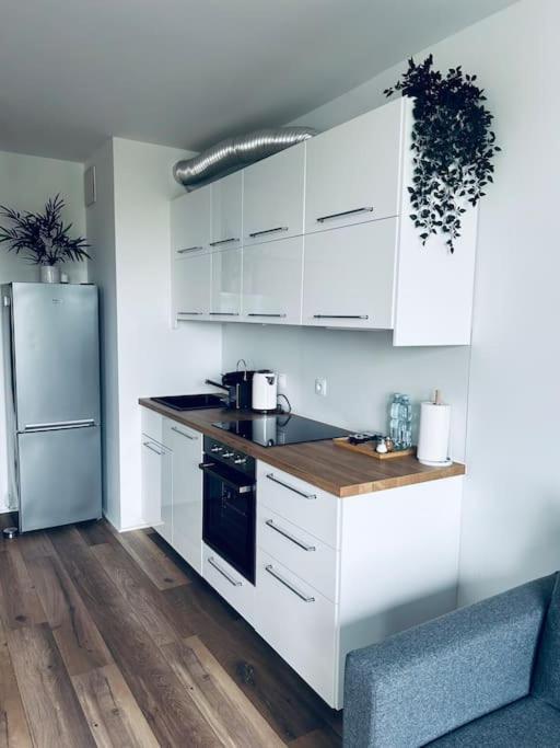 Apartament Stary Szczecin Kültér fotó