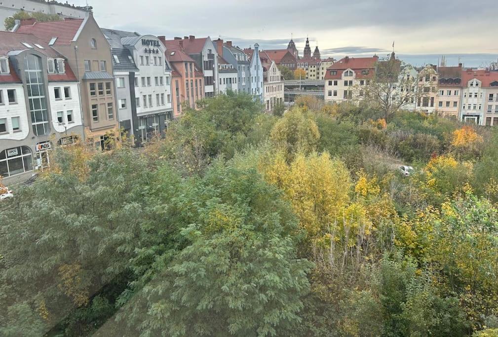 Apartament Stary Szczecin Kültér fotó